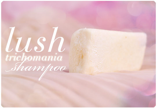 lush szampon w kostce wlosy krecone