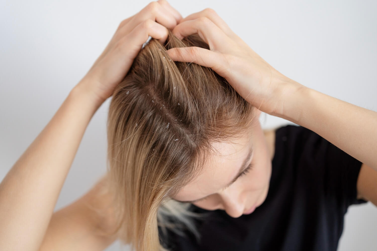 alfaparf nutritive low shampoo nawilżający szampon do włosów suchych opinie