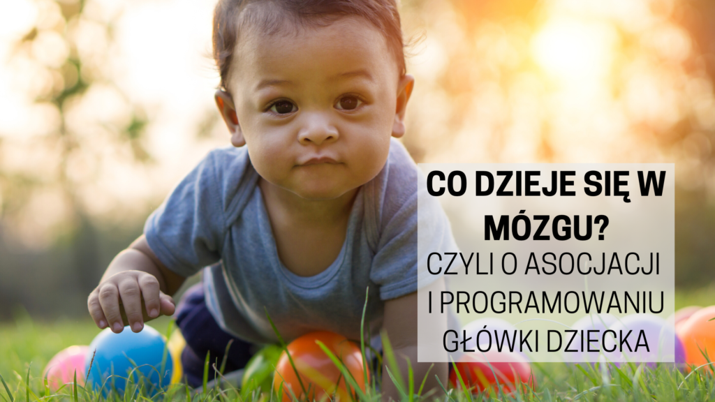 czym różni się pampers pro care od premium