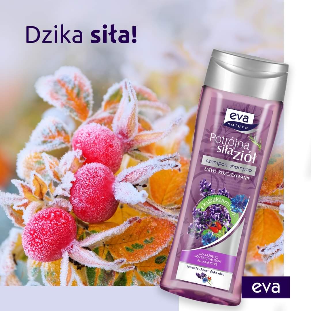 szampon z dziką różą eva