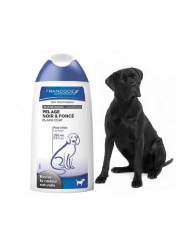 ranking szampon dla psa czarnego z krótką sierścią