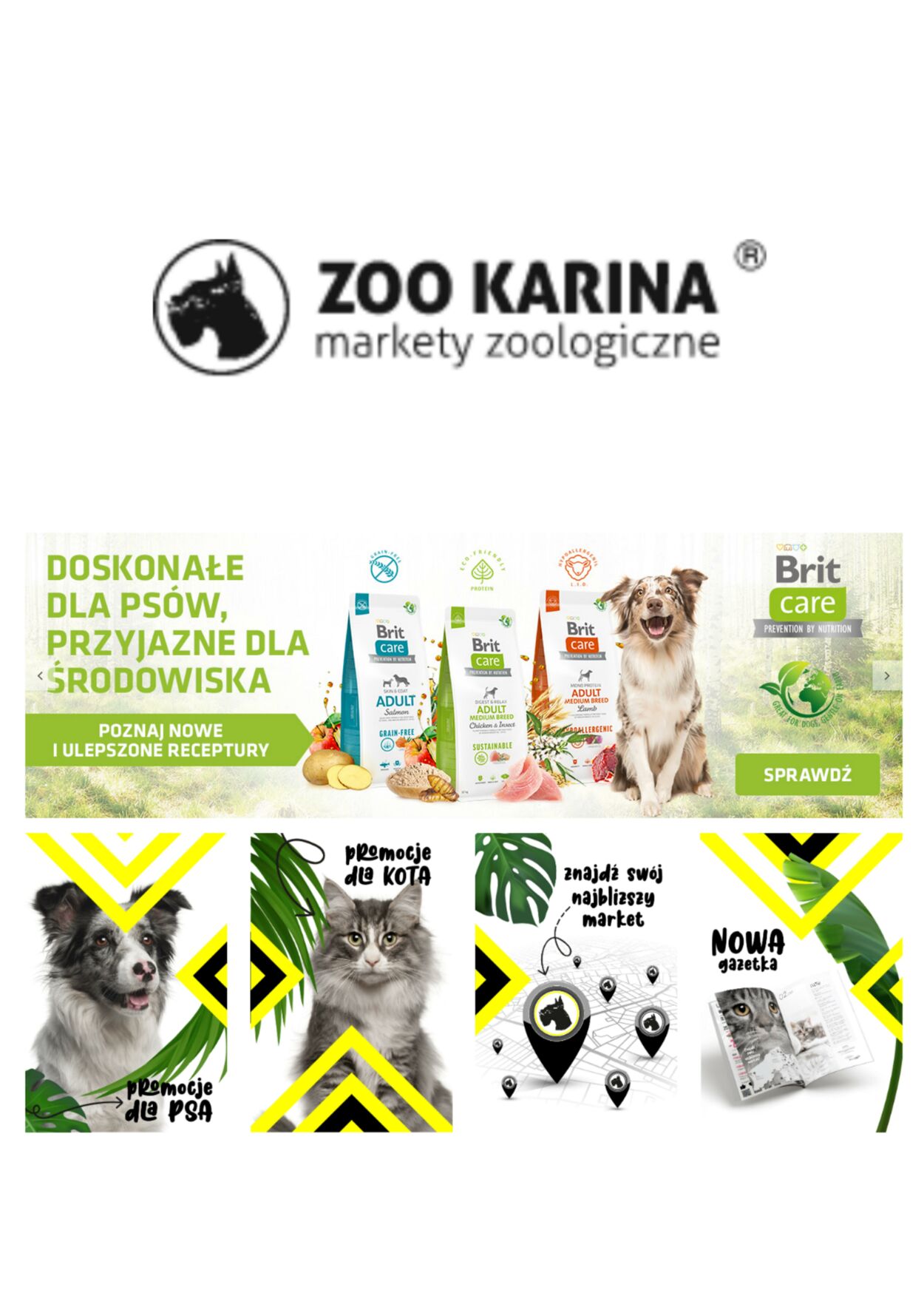 zoo karina pieluchy dla psa