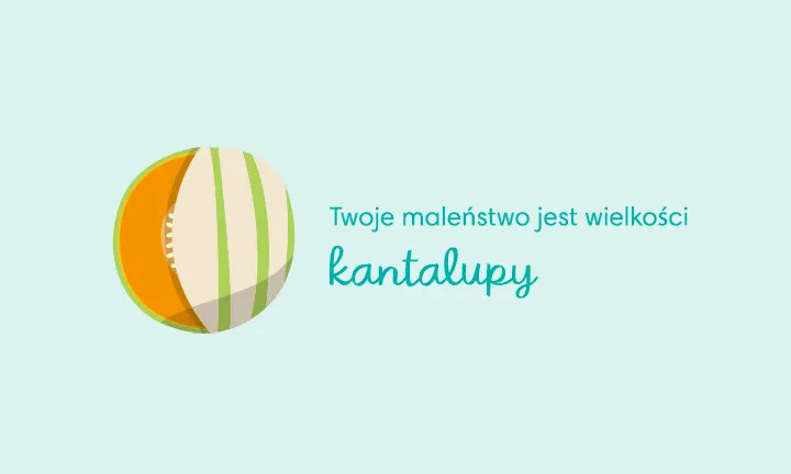 pampers 34 tydzien