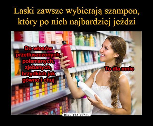 laski lubią jak ich szampon po nich jedzie