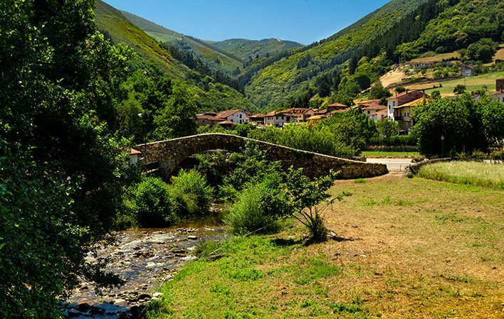 Tineo