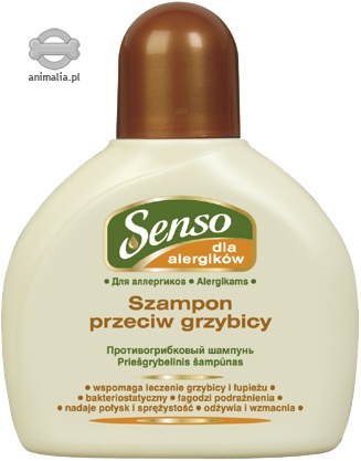 senso szampon