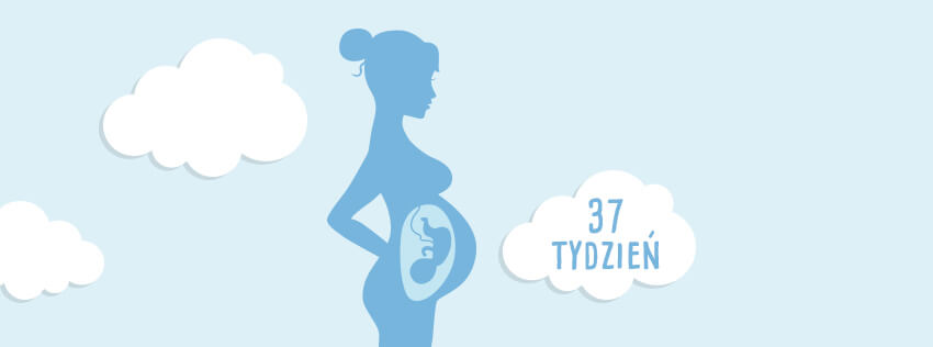 http www.pampers.pl ciaza kalendarz-ciazy seria 33-tydzien-ciazy