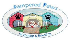 pet pampering kennel