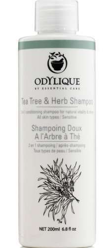 odylique szampon z drzewa