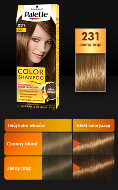 palette color shampoo szampon koloryzujący 221 średni brąz