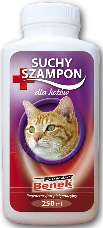 suchy szampon koty