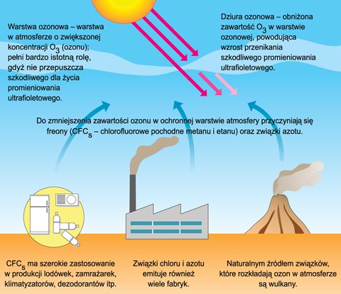 lakier do włosów dziura ozonowa schemat