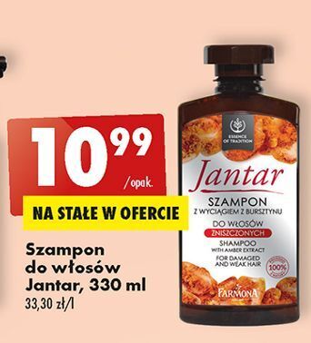 szampon jantar z wy