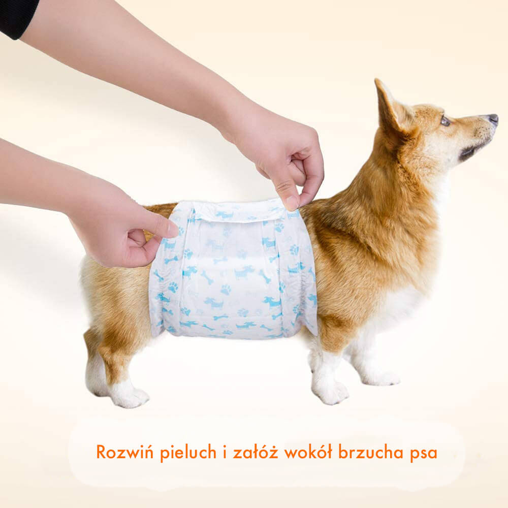 pampers dla pieska