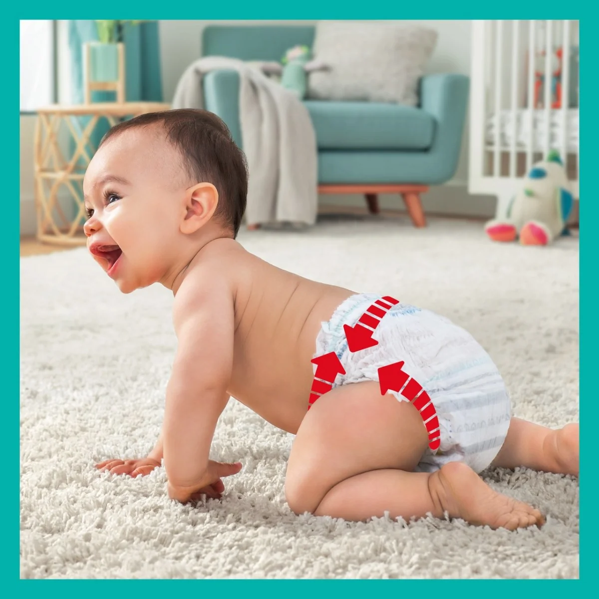 pampers premium care 3 48 sztuk