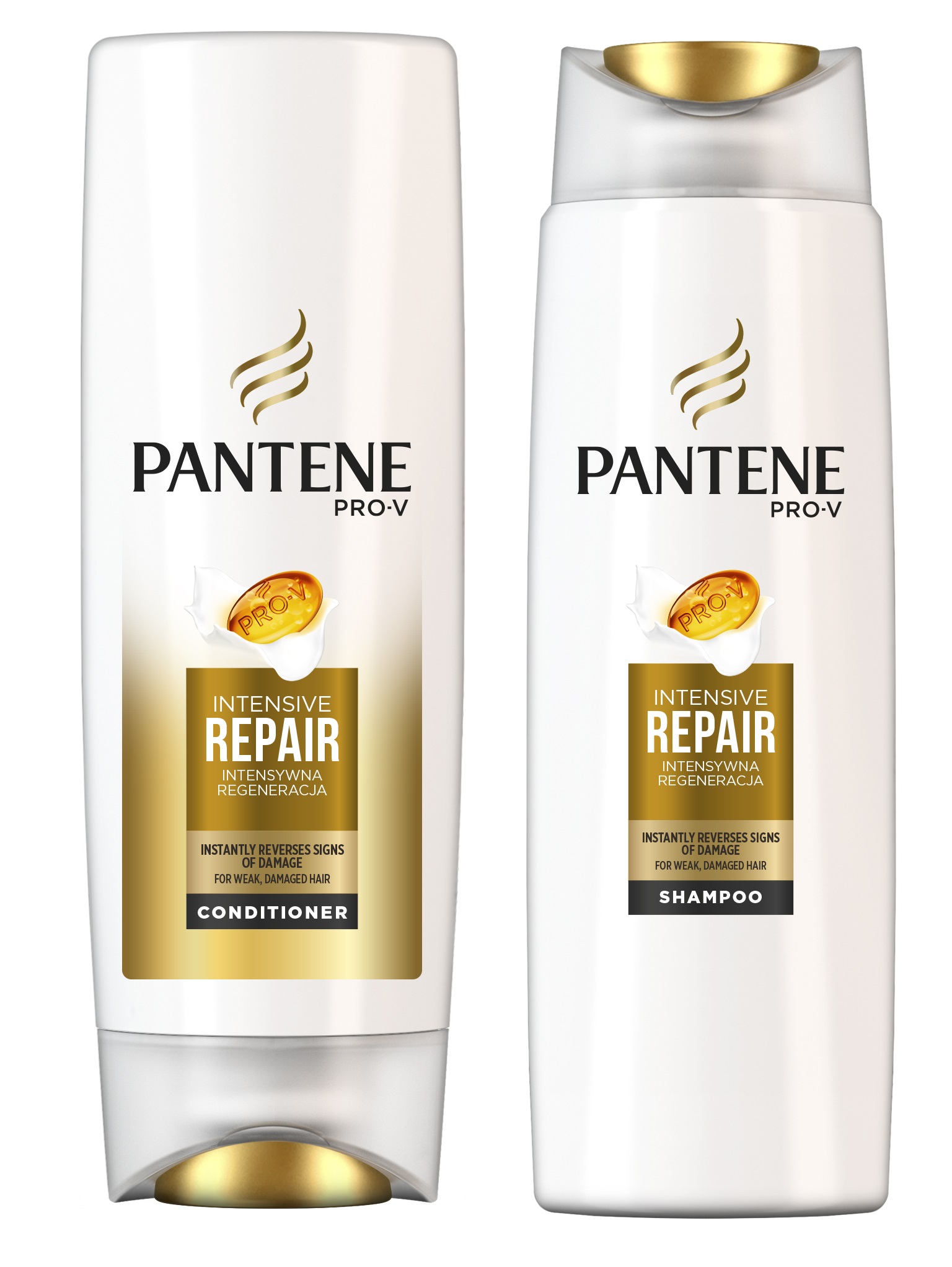 pantene intensywna regeneracja szampon