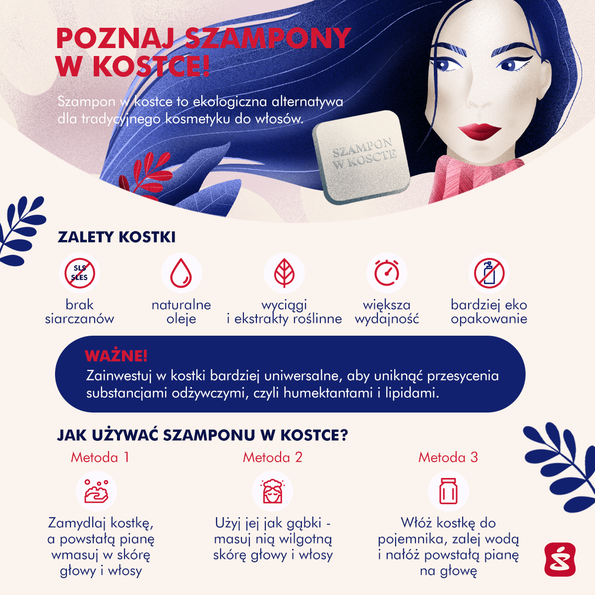 polecany szampon w kostce