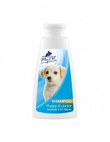 sfingozina szampon dla psów