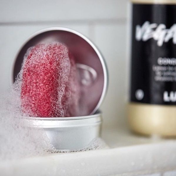 suchy szampon lush