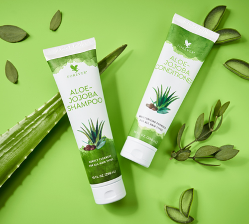 szampon aloe jojoba cena