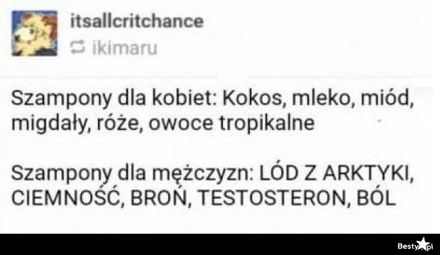 szampon dla kobiet vs mezczyzn