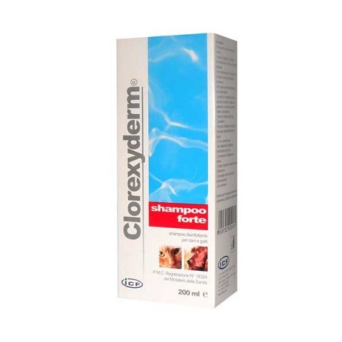 szampon dla psa clorexyderm