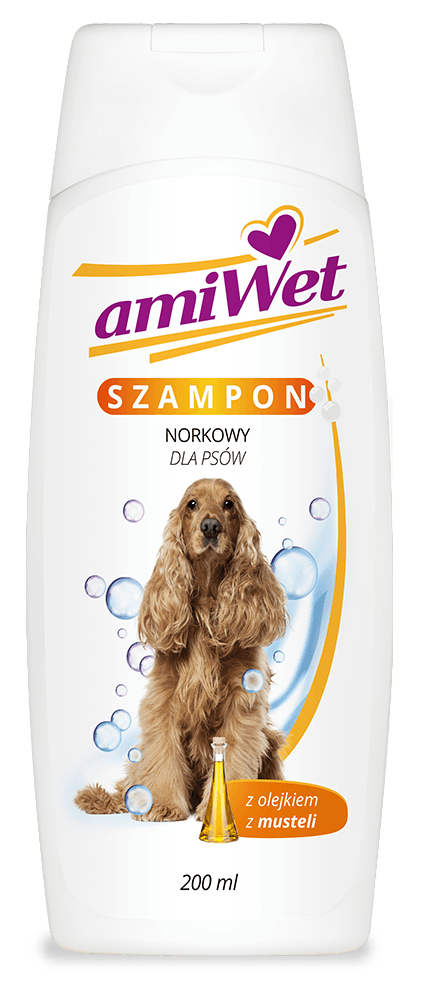 szampon in english