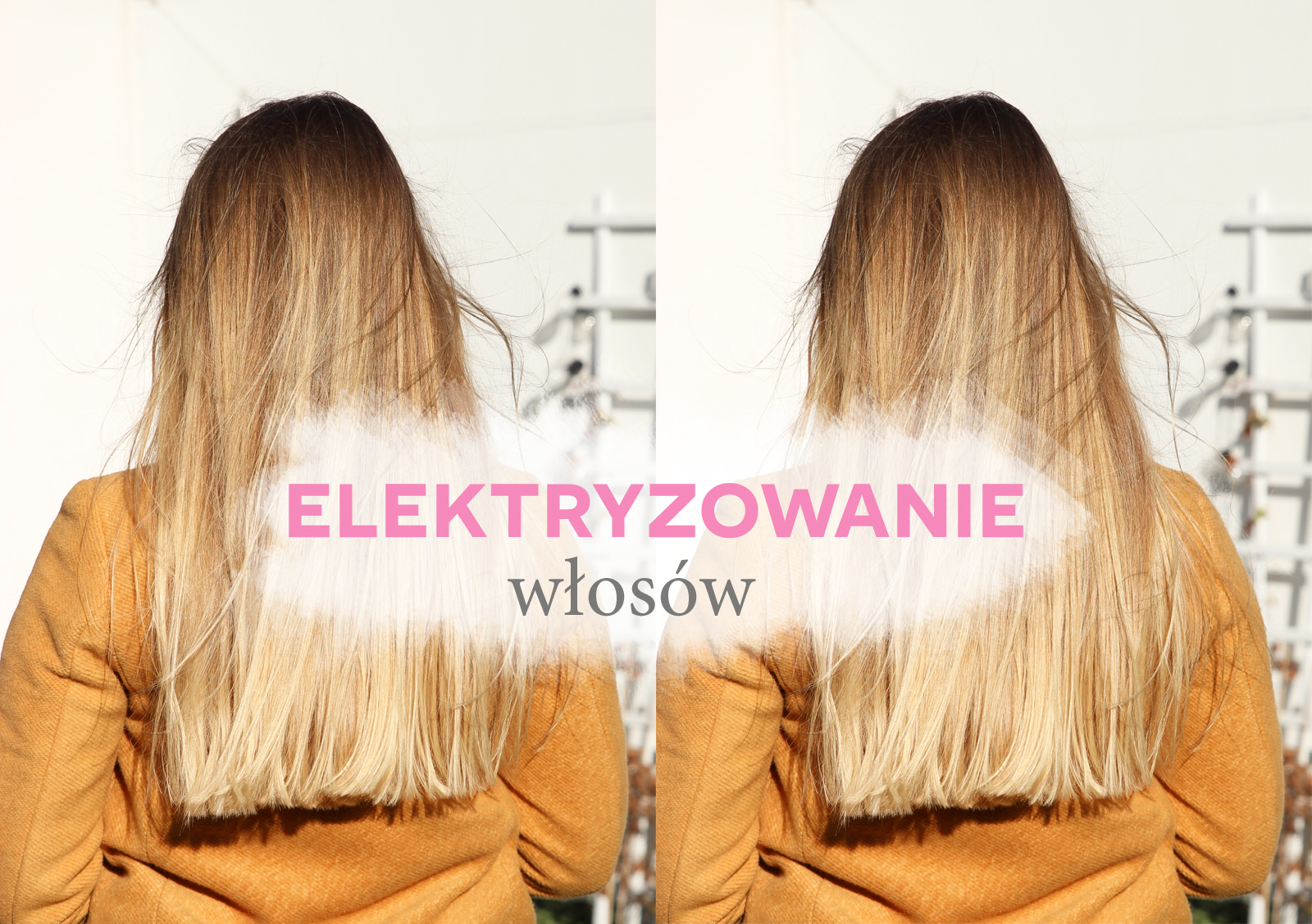 szampon na elektryzujace i farbowane włosy