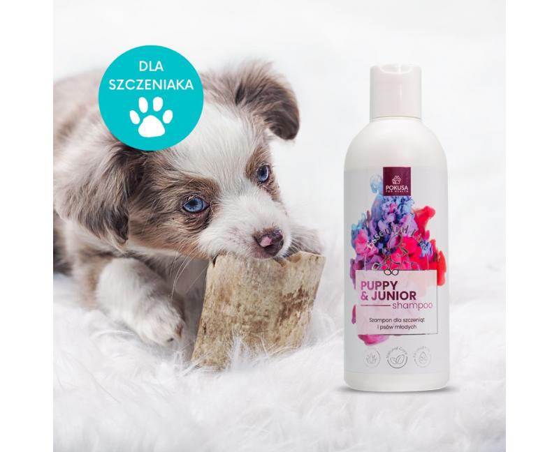 szampon organic pets dla szczeniąt