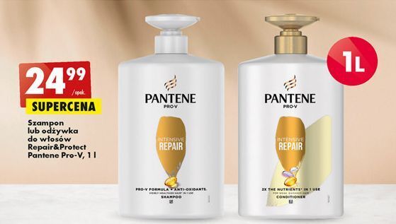 szampon pantene biedronka